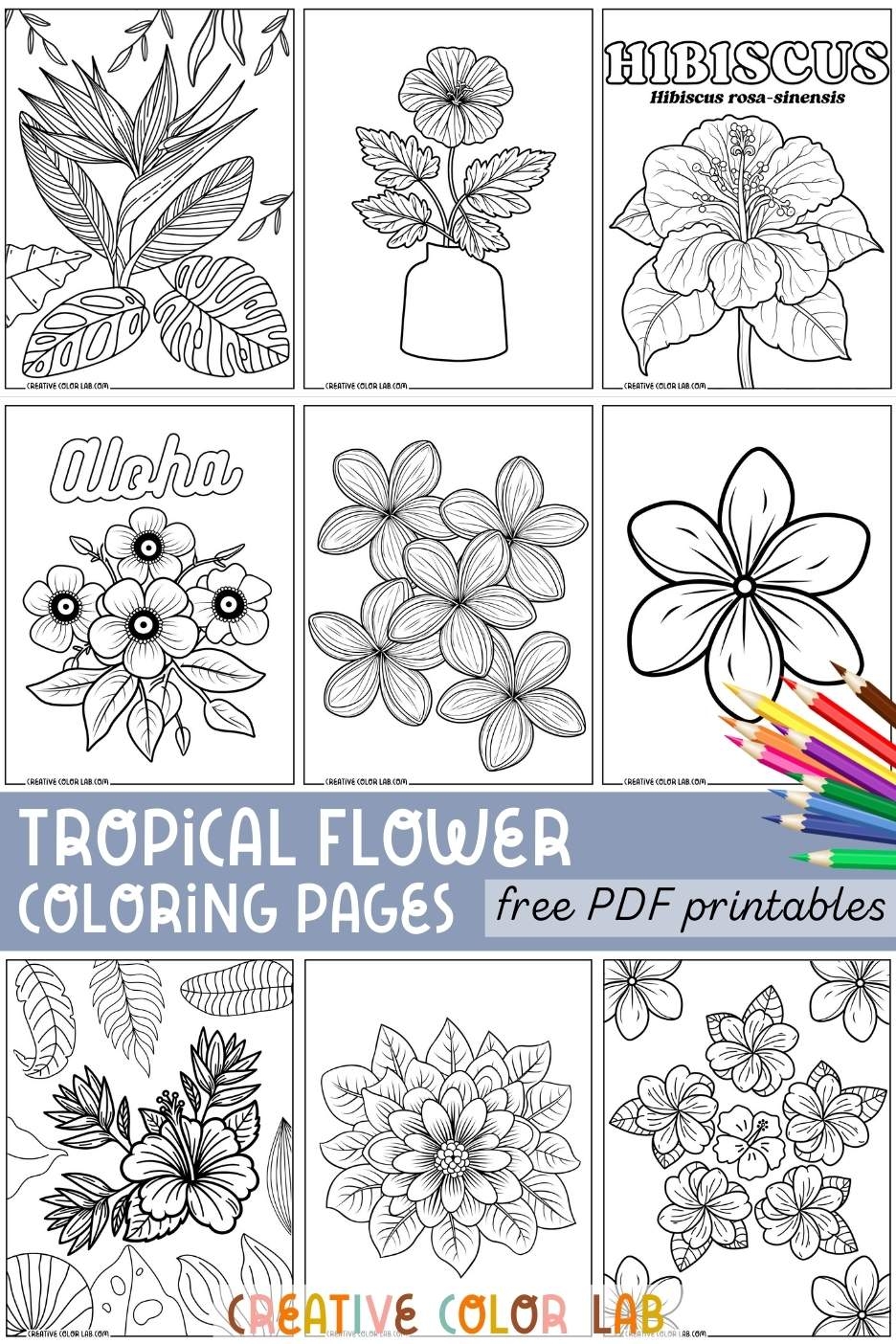 10 Hawaiian Tropical Flower Coloring Pages Free PDF Printables