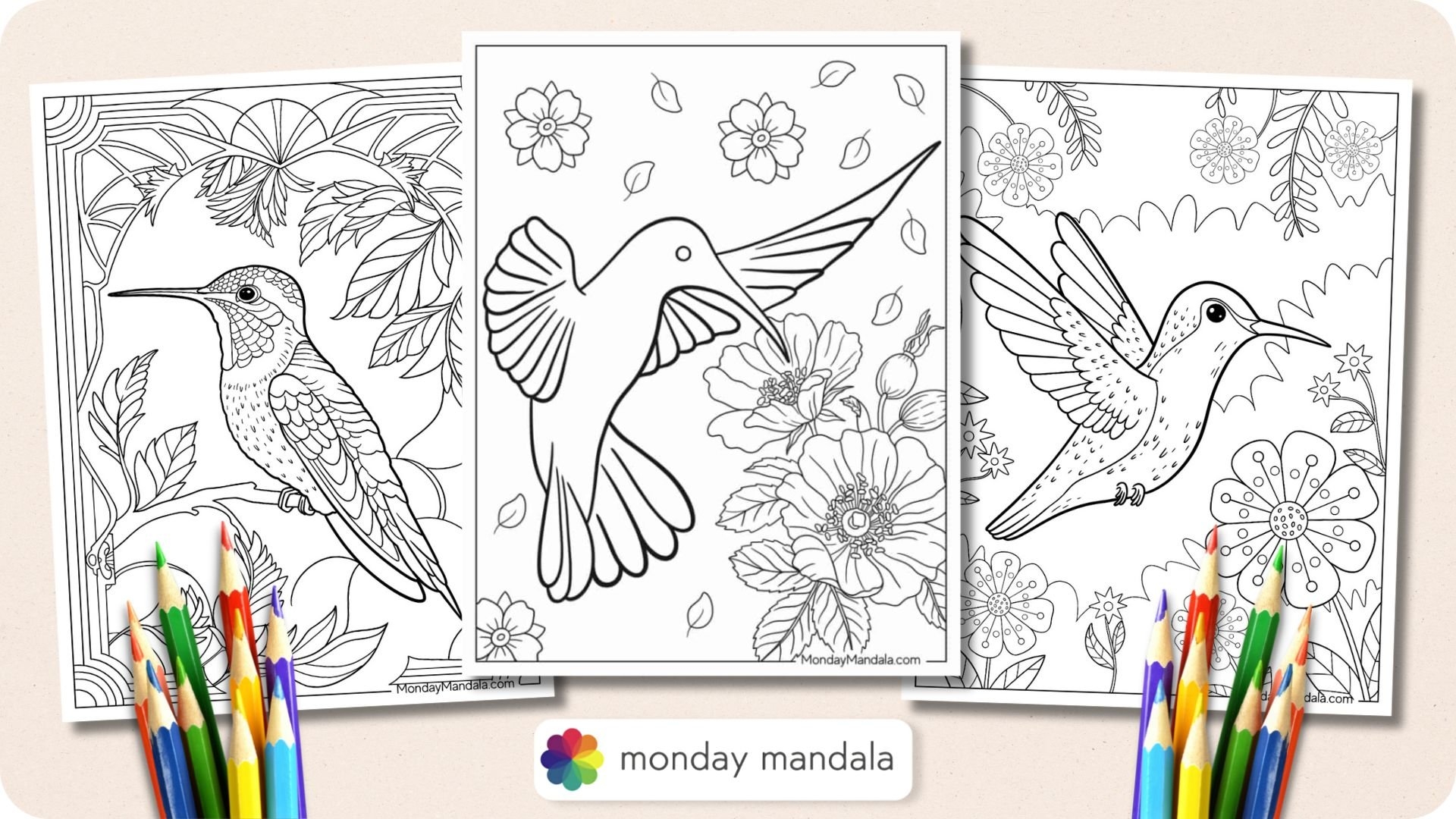 19 Hummingbird Coloring Pages Free PDF Printables 