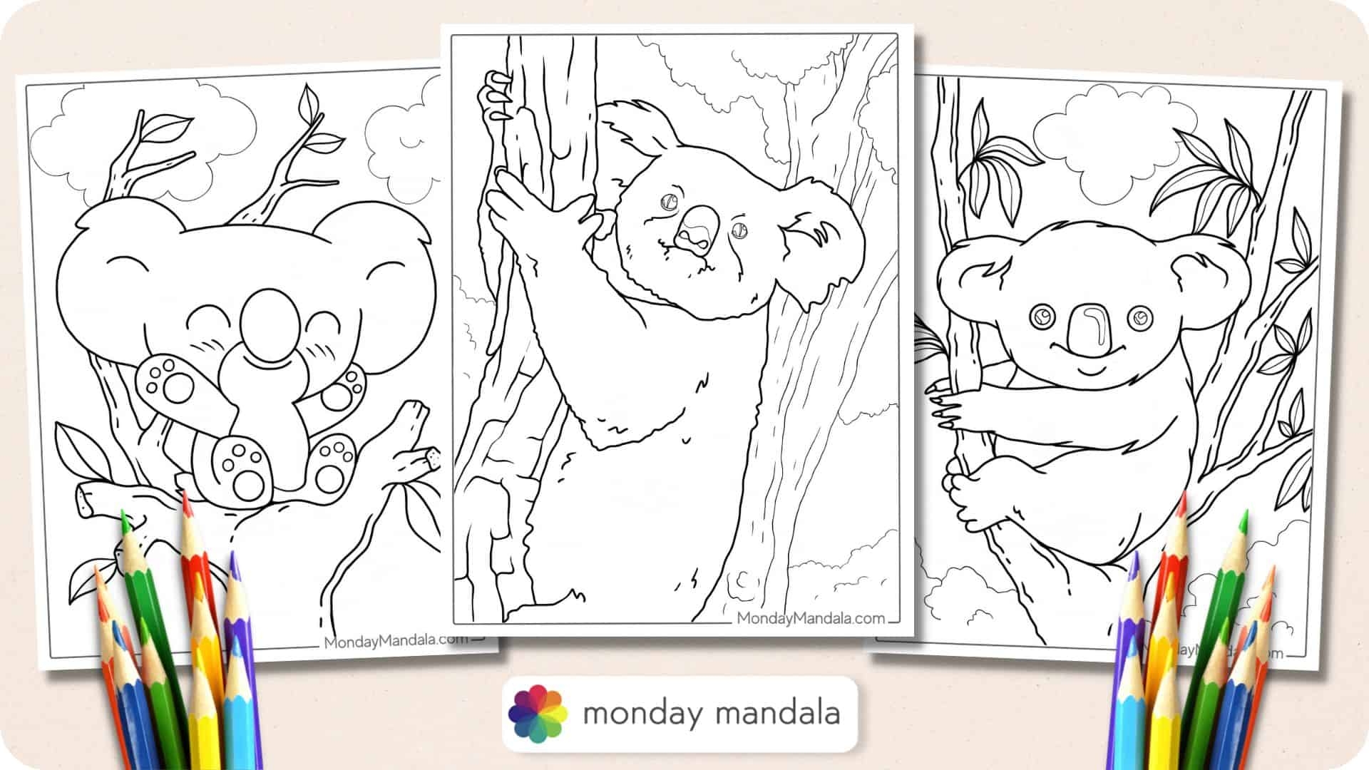 20 Koala Coloring Pages Free PDF Printables 