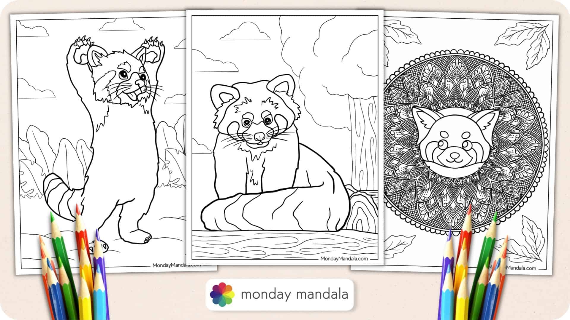 20 Red Panda Coloring Pages Free PDF Printables 