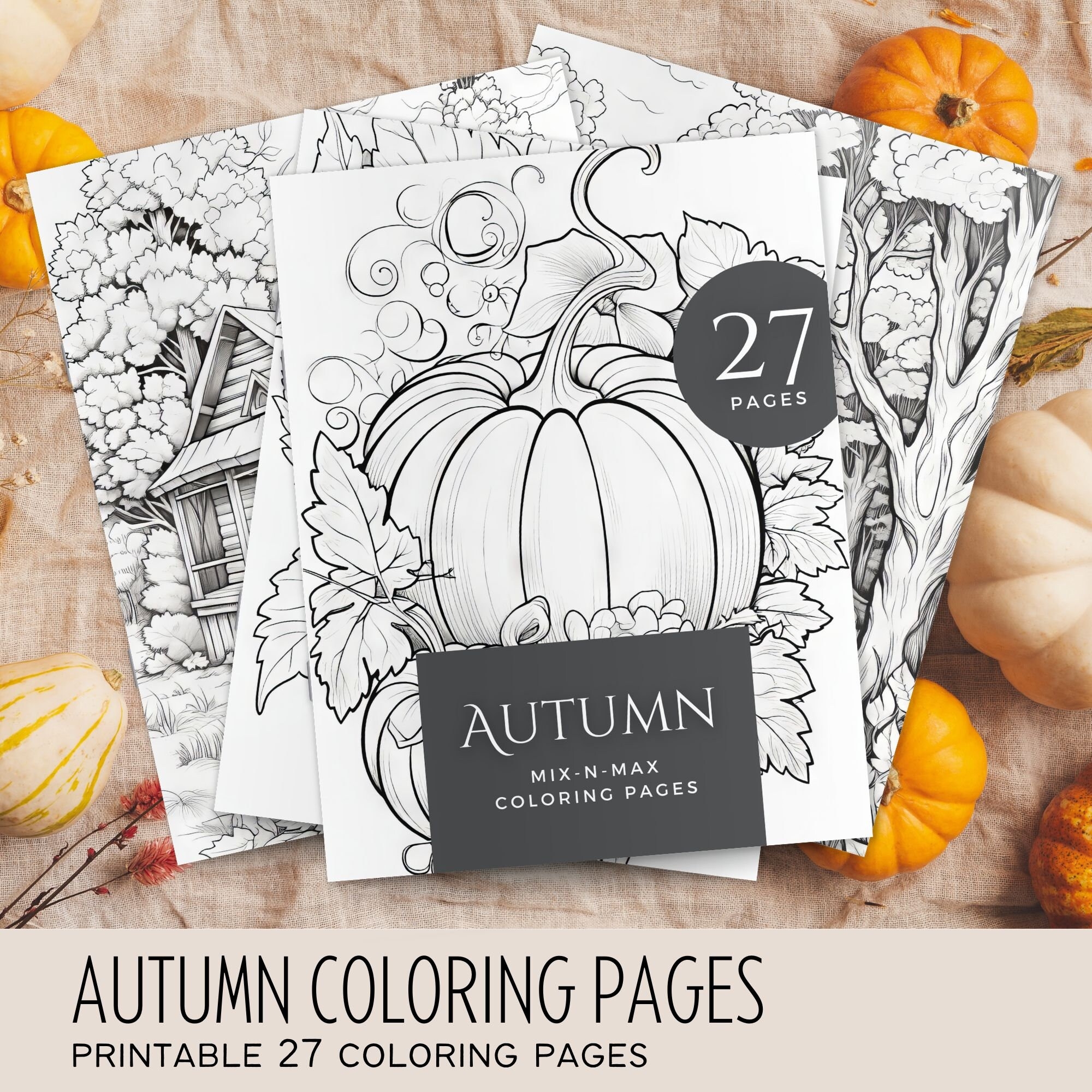 27 Autumn Coloring Pages Fall Coloring Stress Relief Printable Adult Coloring Page Instant Download Pumpkin Coloring Pages Etsy