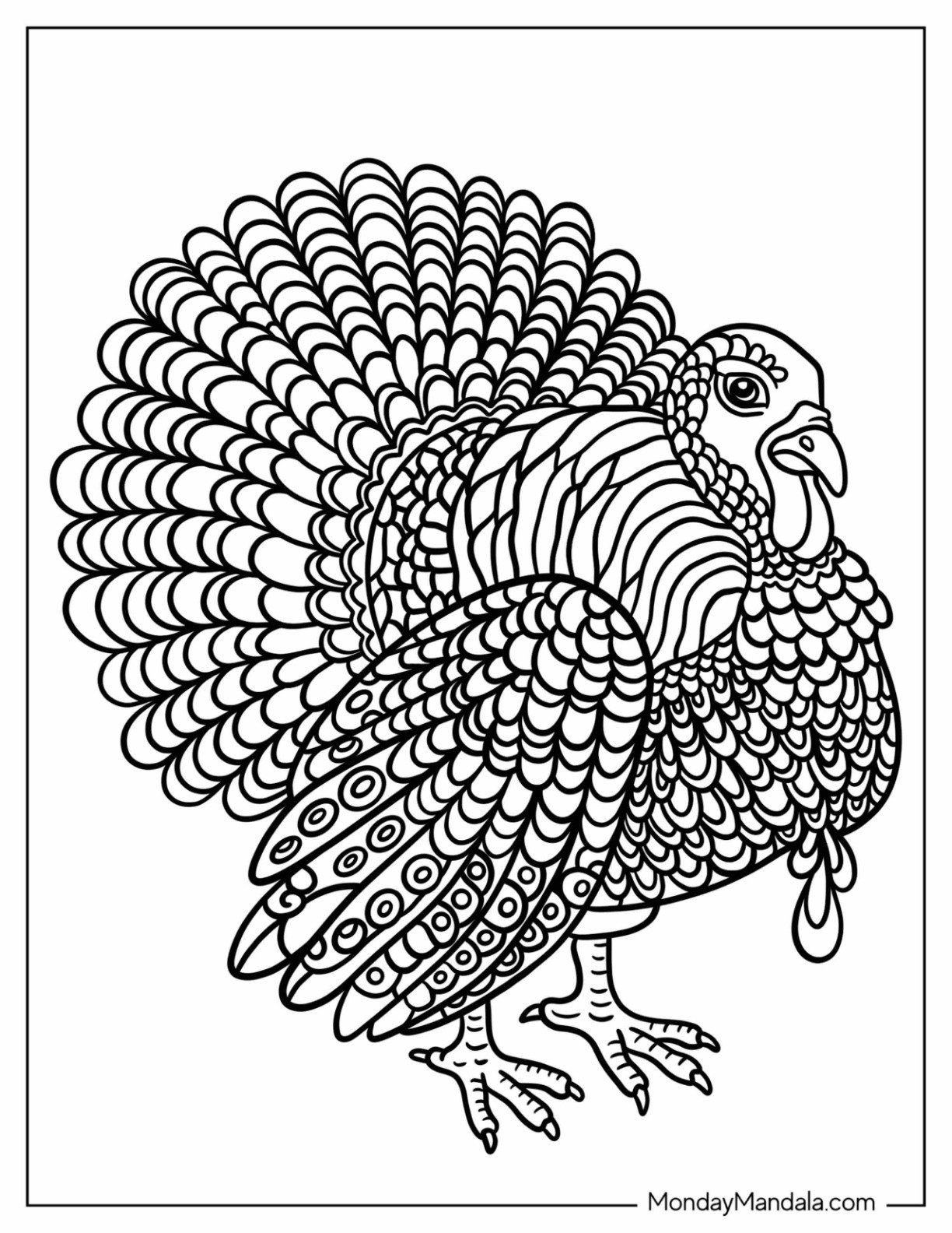 Free Printable Coloring Pages Of Turkeys
