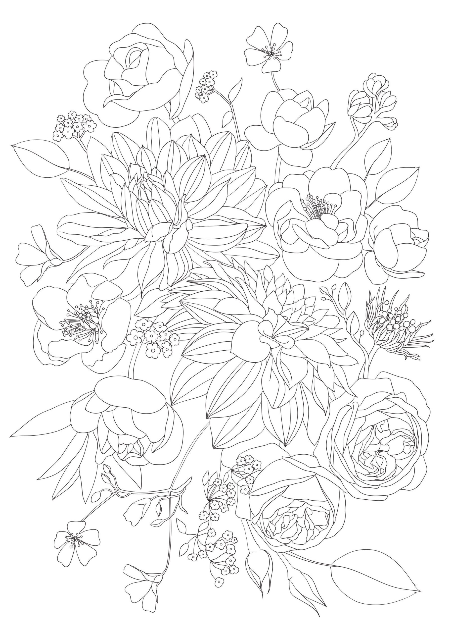 4 Printable Adult Flowers Coloring Pages PNG A4 Roses And 