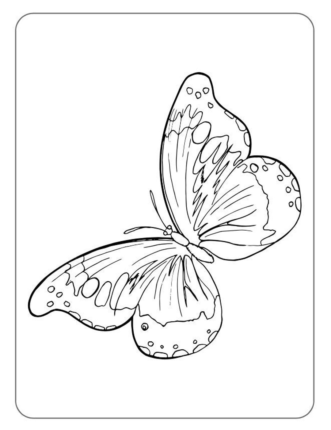 Butterfly Coloring Pages Printable