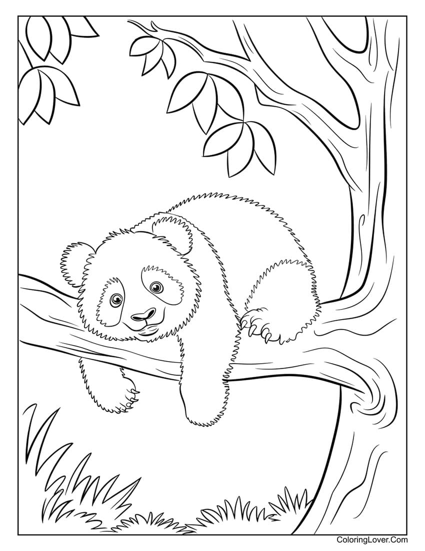 42 Bear Coloring Pages Free Printables For All Ages 