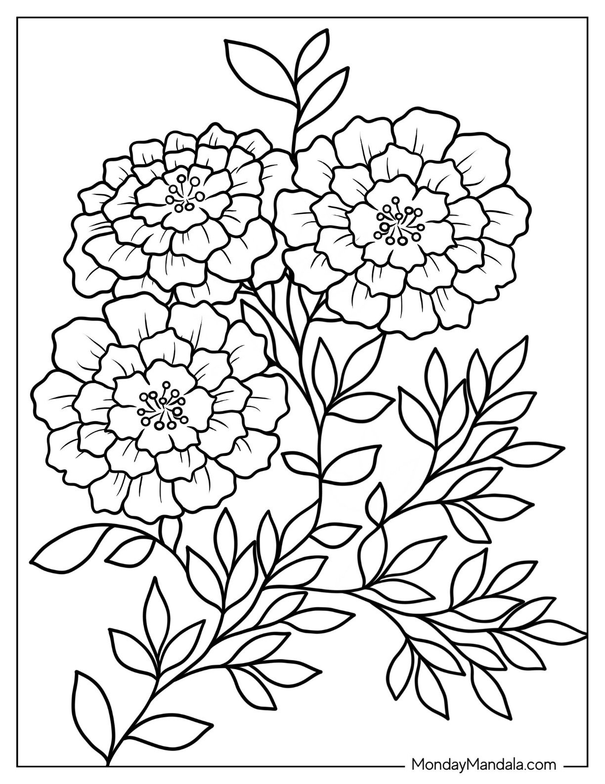 Color Pages Free Printable