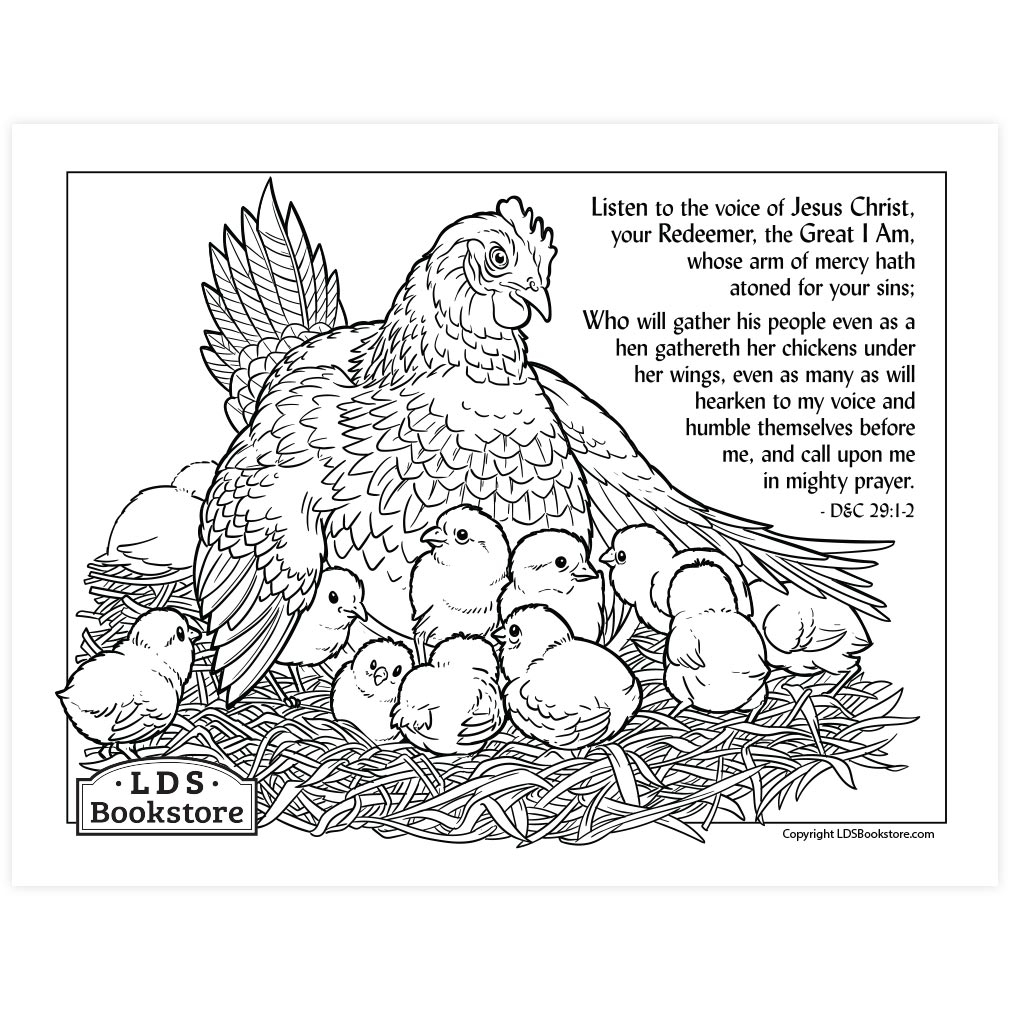 As A Hen Gathereth Her Chickens Coloring Page Printable 