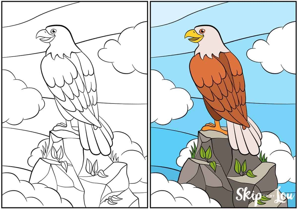 Bald Eagle Coloring Pages Skip To My Lou Worksheets Library