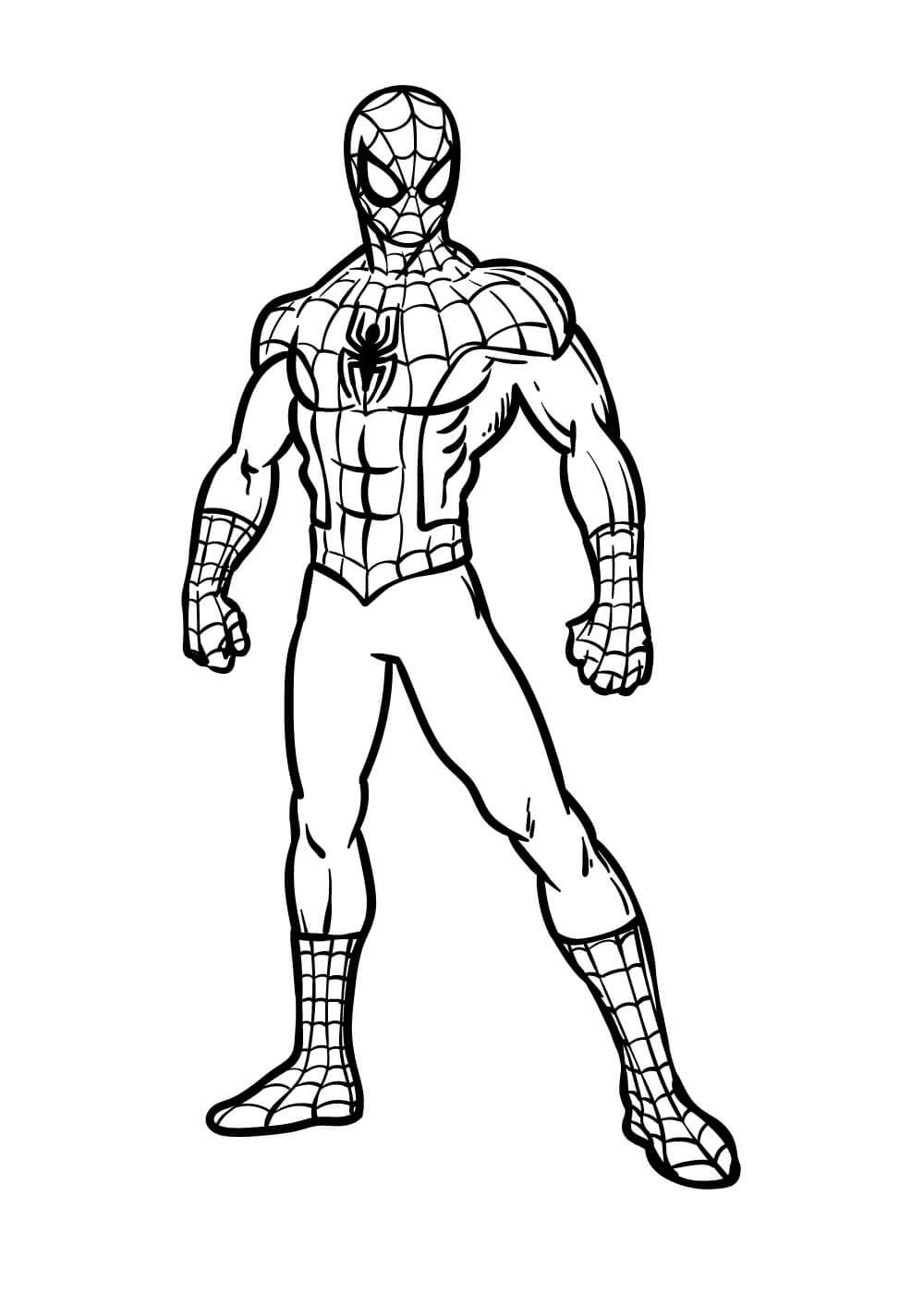 Basic Spiderman Coloring Page Download Print Or Color Online For Free