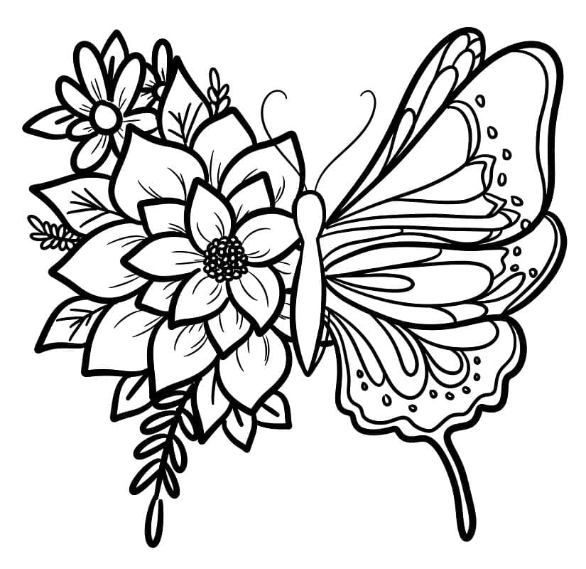 Butterfly 3 Coloring Page Download Print Or Color Online For Free