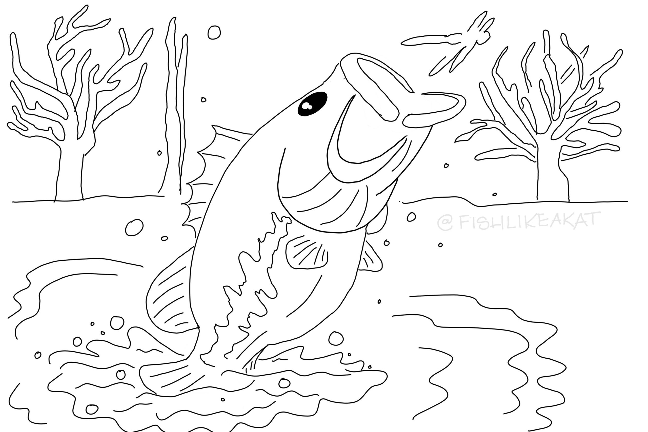 Chillax U0026 Color Free Fishing Coloring Pages
