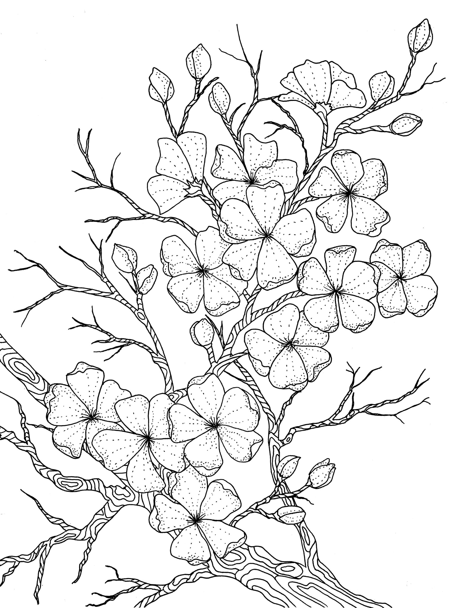 Coloring Pages Happy Family Art