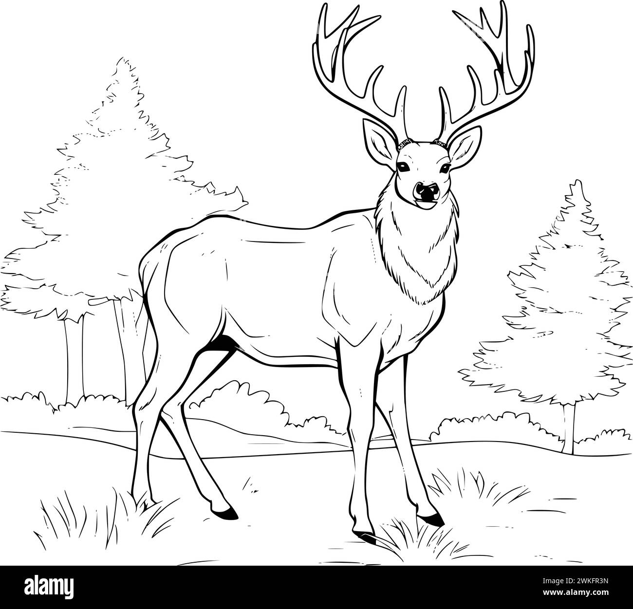 Deer Printable Coloring Pages
