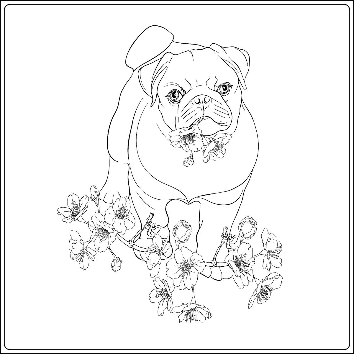 Dog Coloring Pages Free Printable