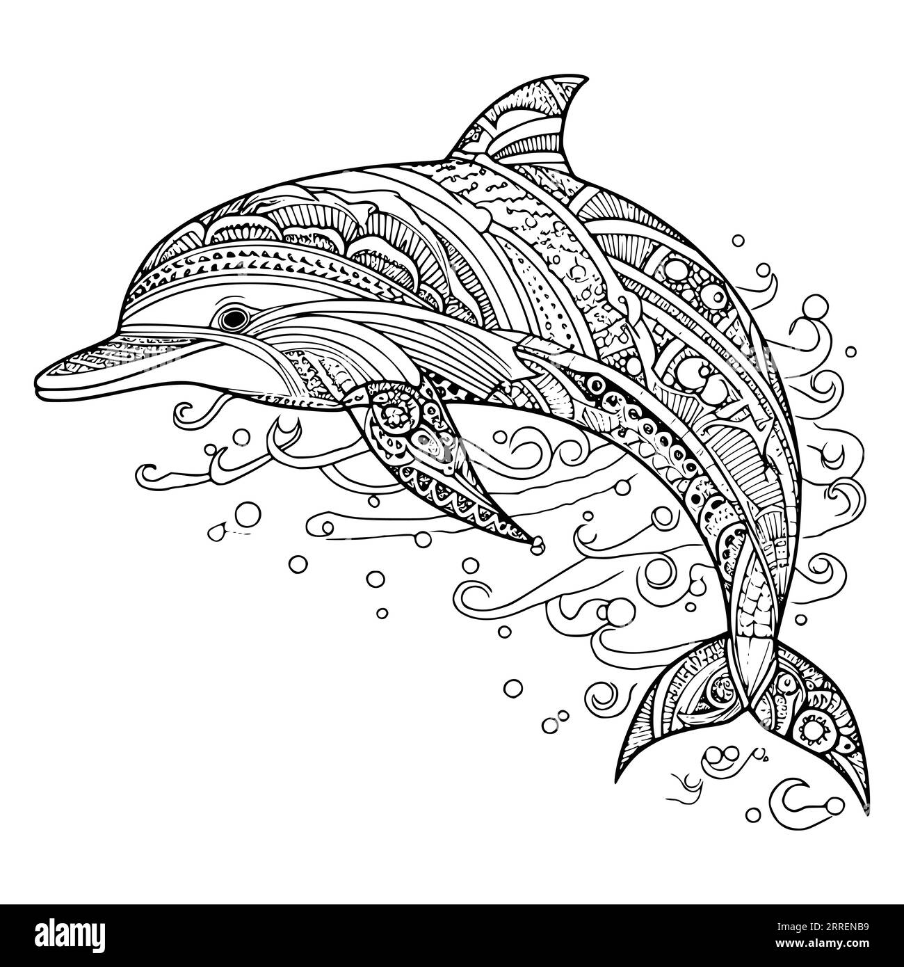 Dolphin Colouring Pages Printable Black And White Stock Photos 