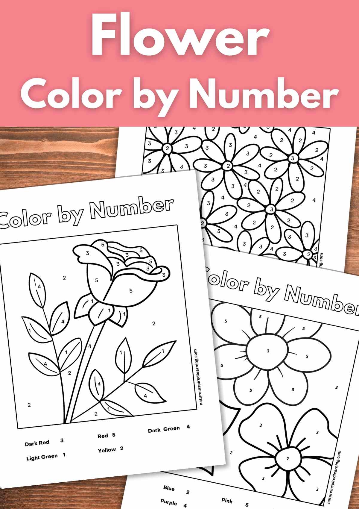 Flower Color By Number Nature Inspired Learning