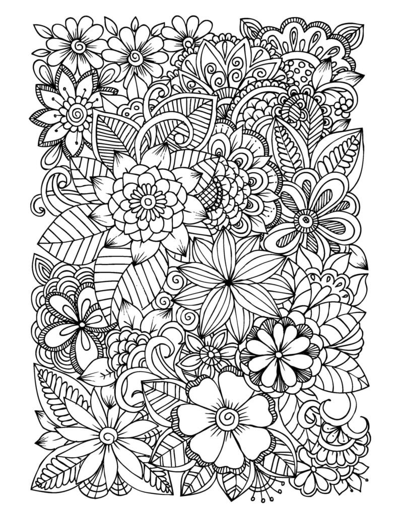 Flower Coloring Pages 30 Flowers Adult Coloring Pages 30 Digital Coloring Pages Printable PDF Download 