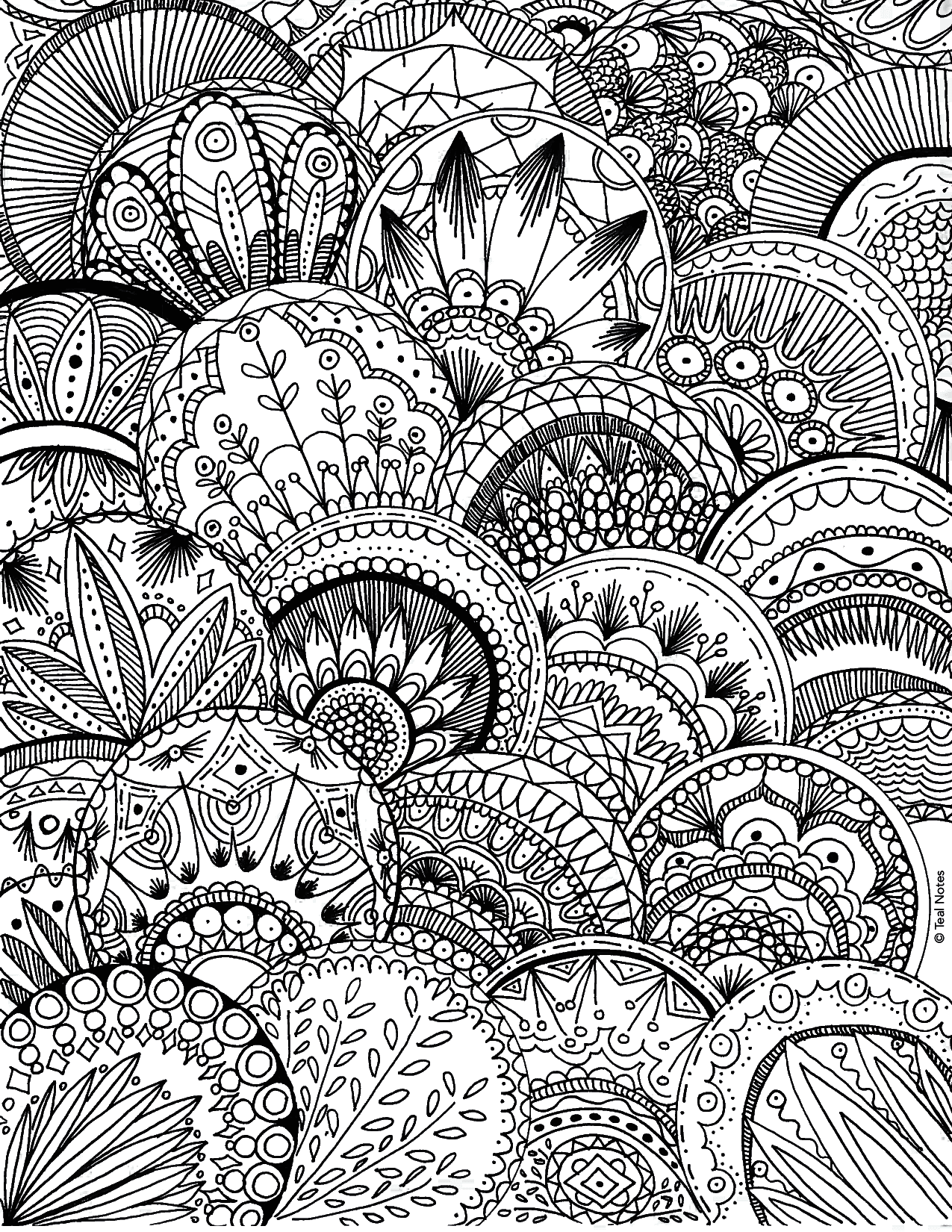 Coloring Pages Free