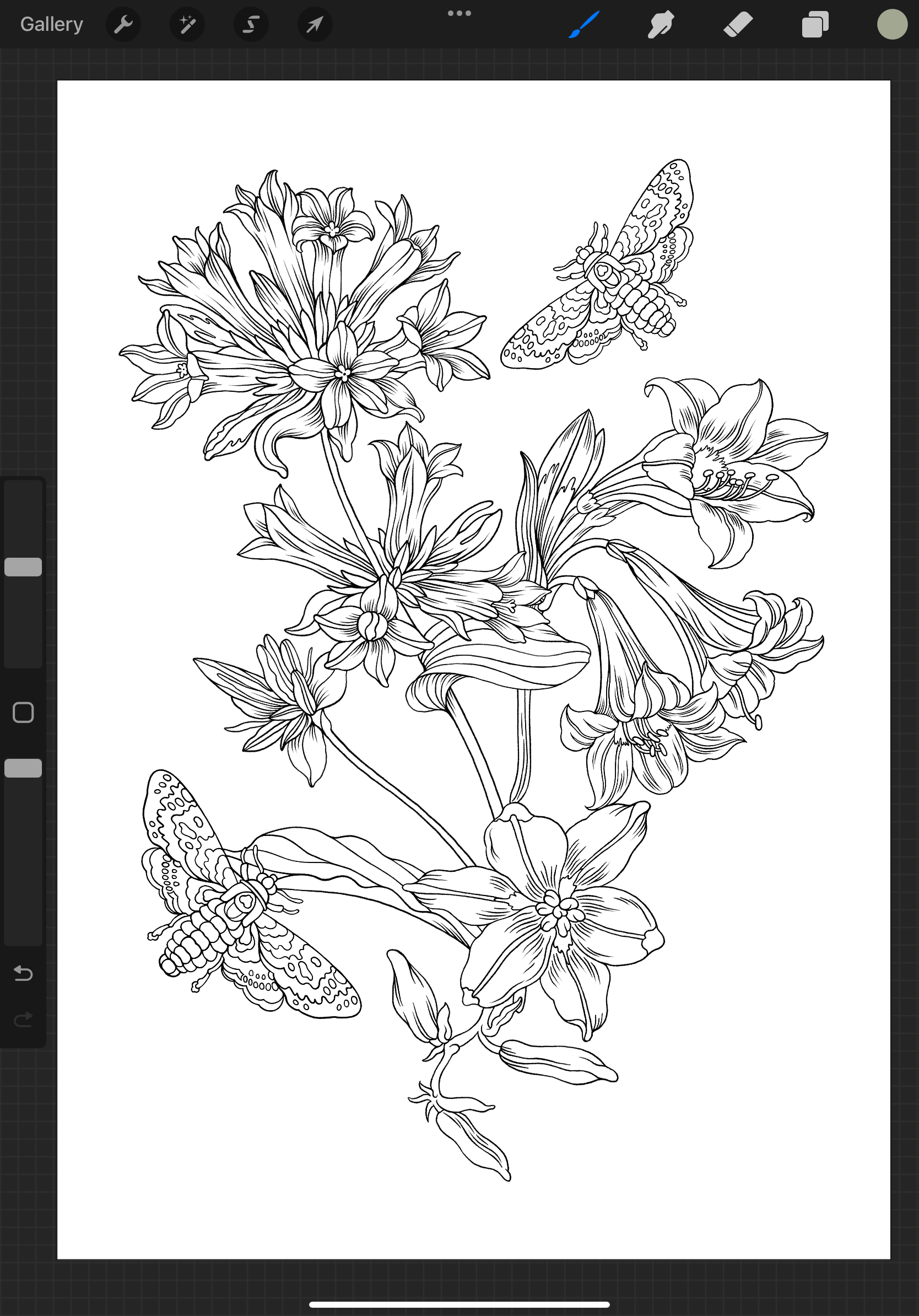 Free Coloring Pages For Procreate Flower Frenzy Edition Procreate courses