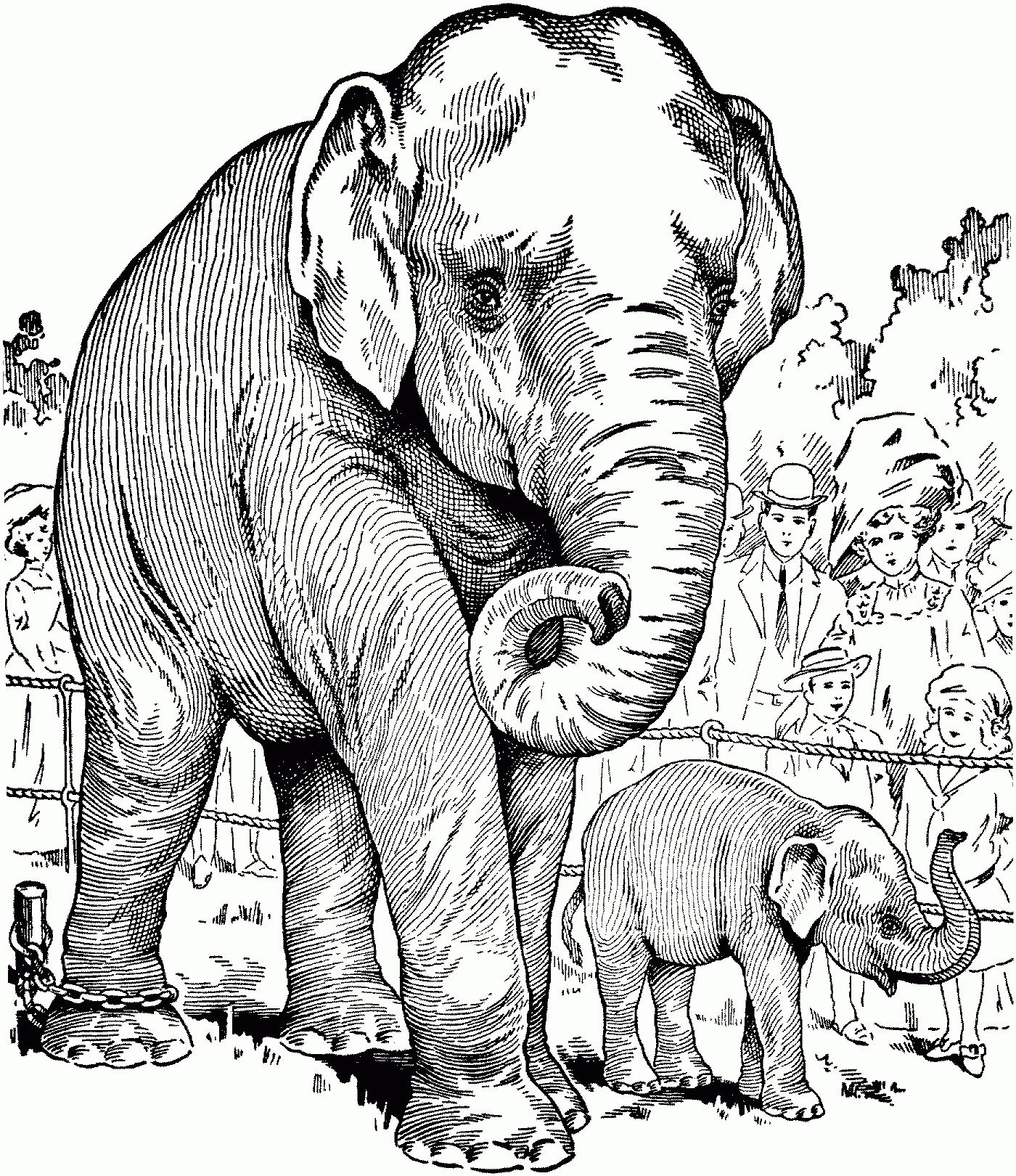 Free Elephant Coloring Pages Printable