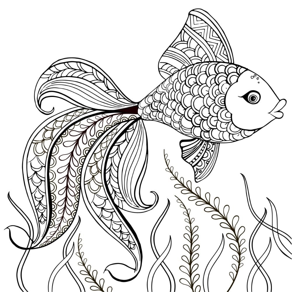 Fish Coloring Pages Printable Free