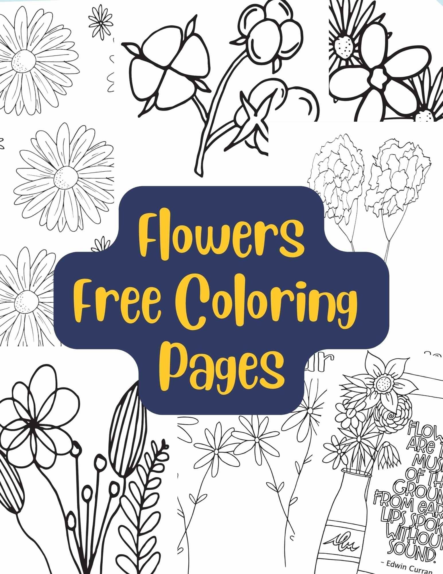 Free Coloring Pages Flowers