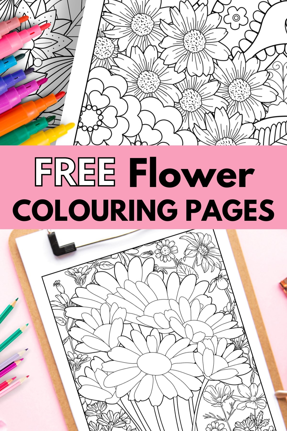 Flower Color Pages Free Printable