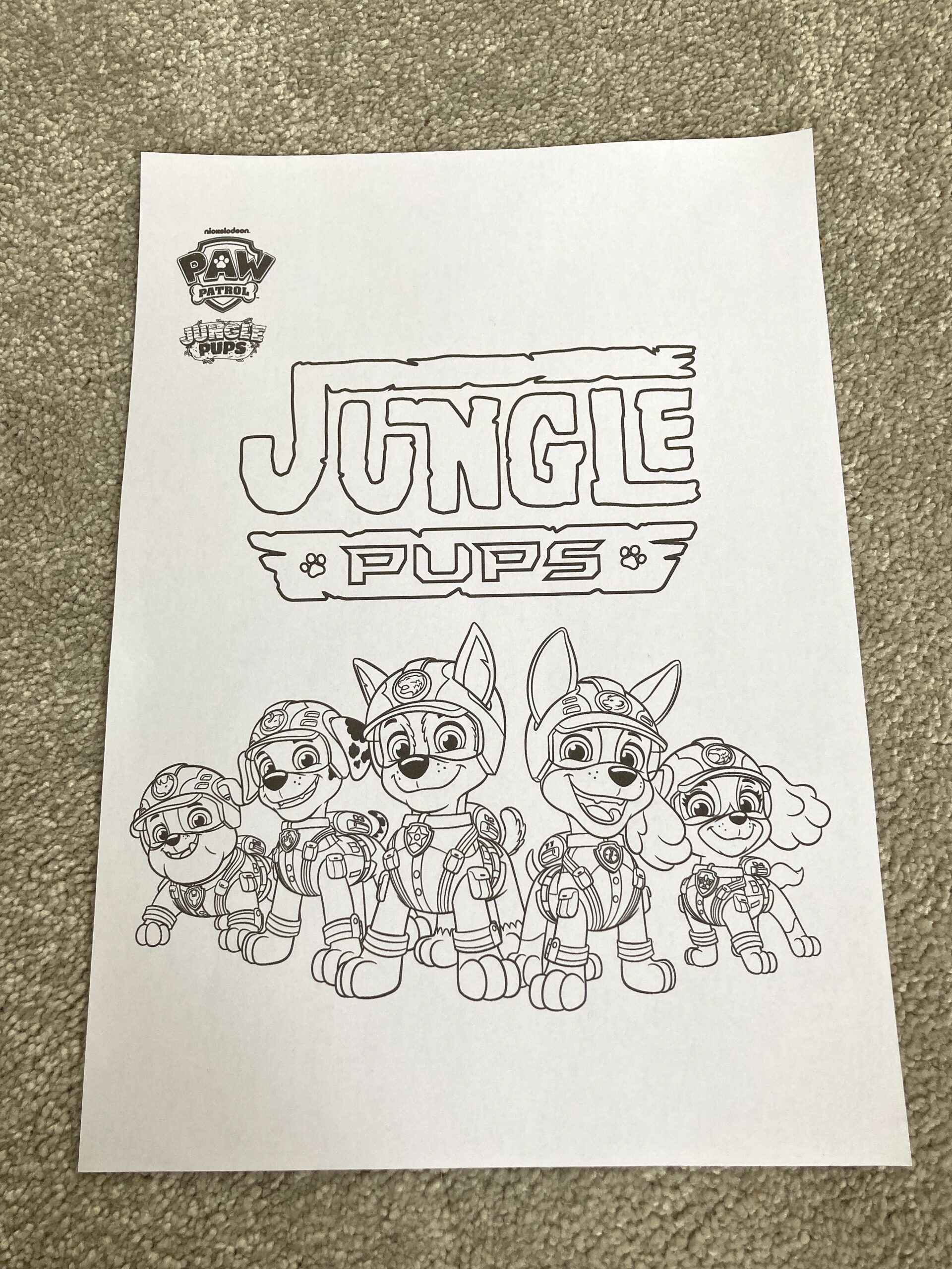 Free Printable Full Size Paw Patrol Coloring Pages