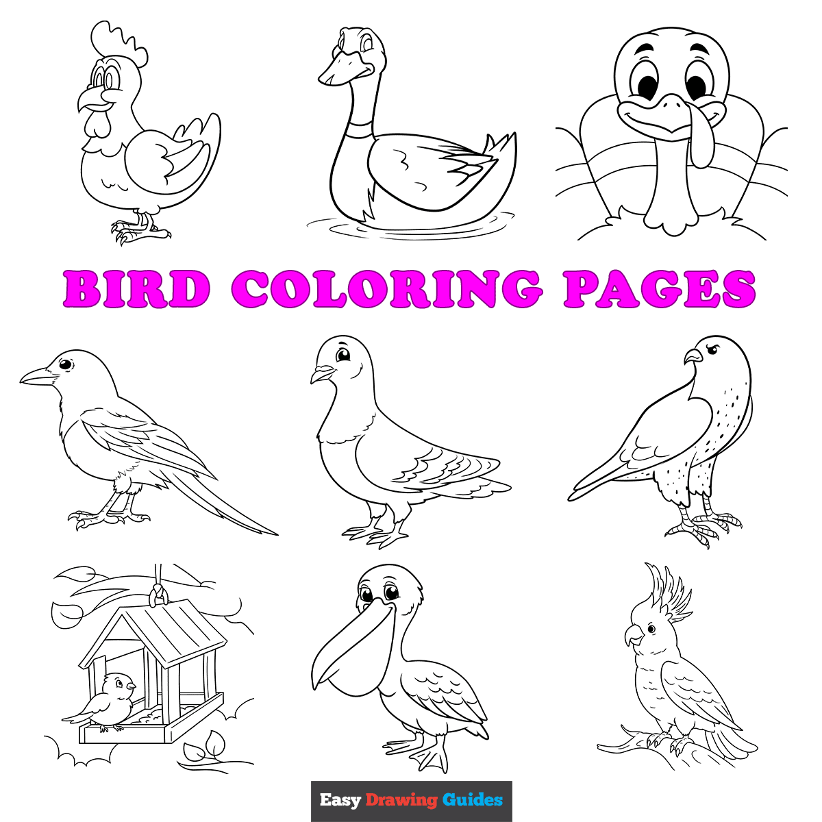Free Printable Bird Coloring Pages For Kids