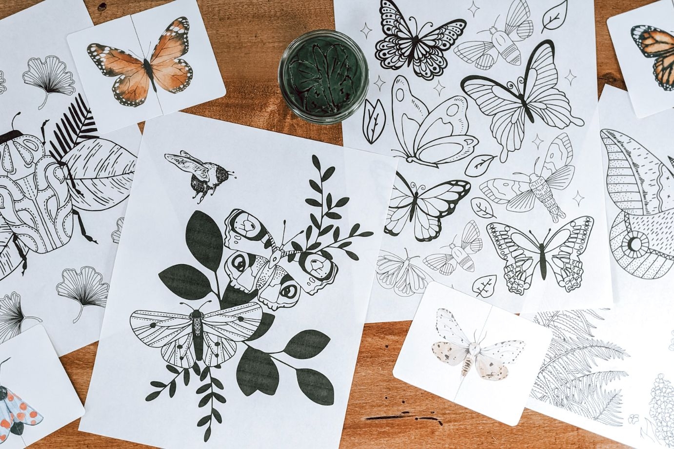 Butterfly Color Pages Free