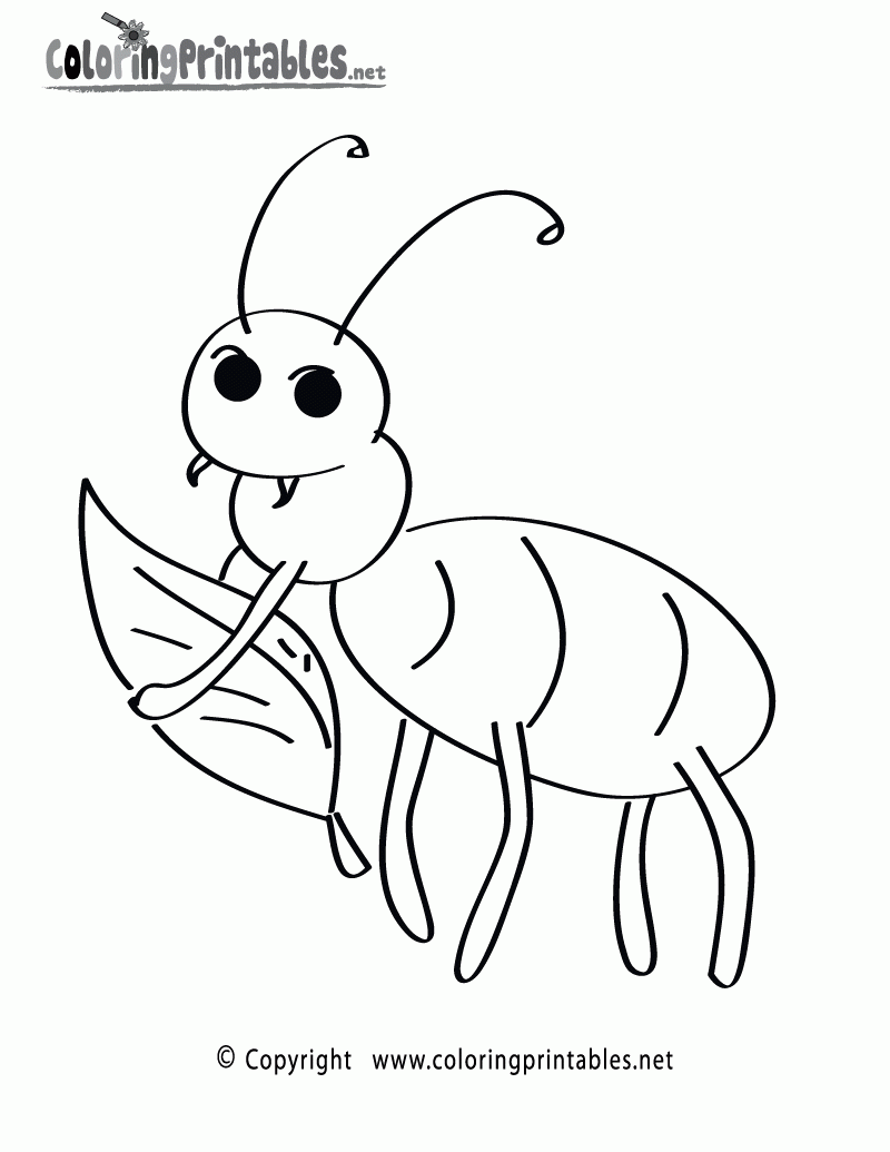 Fun Insect Coloring Page A Free Nature Coloring Printable