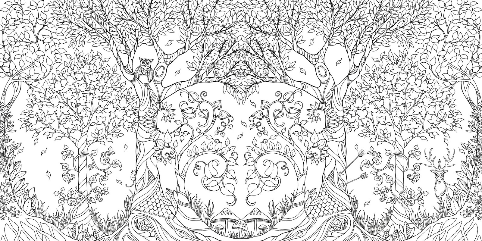 Grown Up Coloring Books Are Here The Backyard Naturalist
