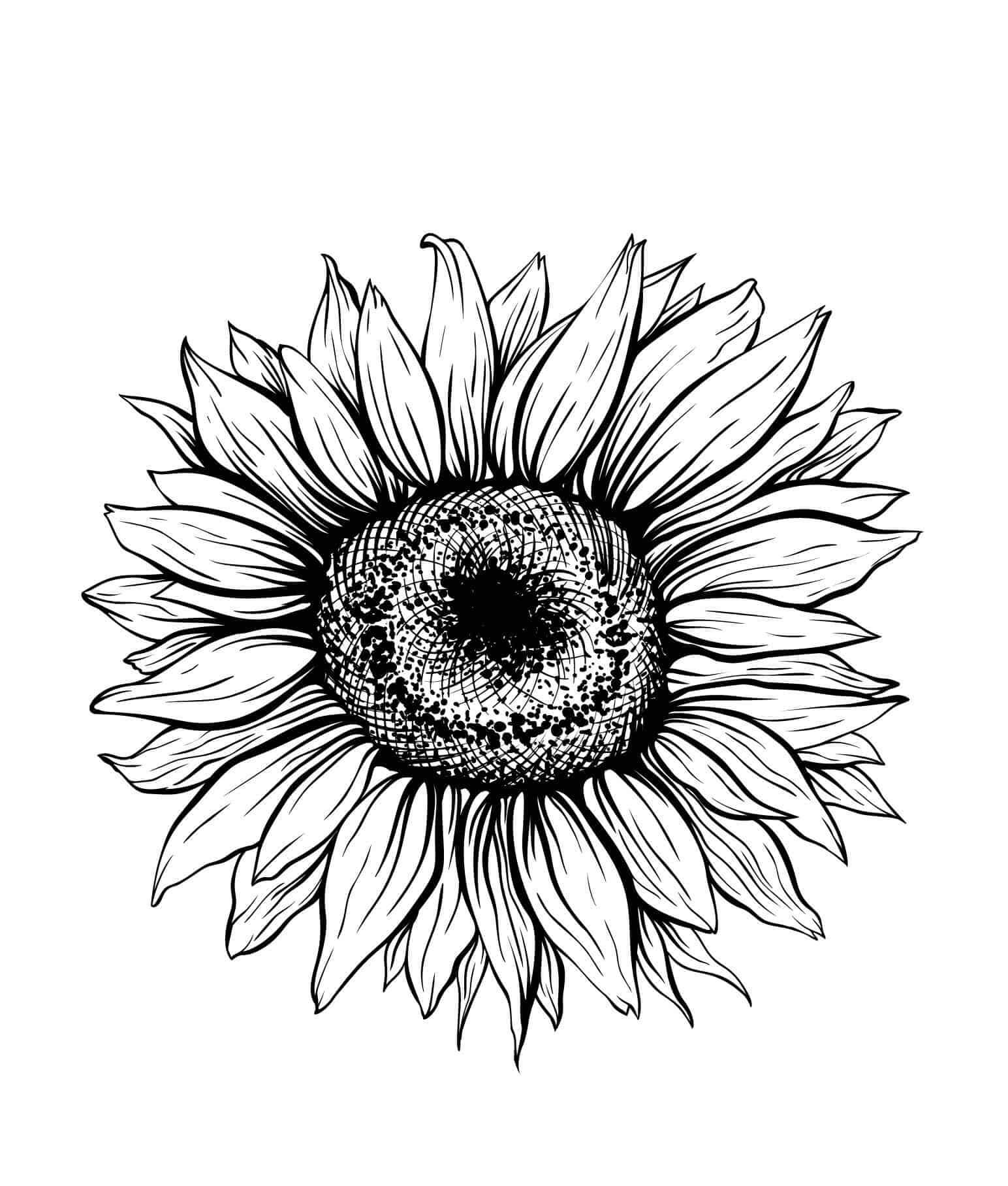 Large Sunflowers Coloring Page Download Print Or Color Online For Free