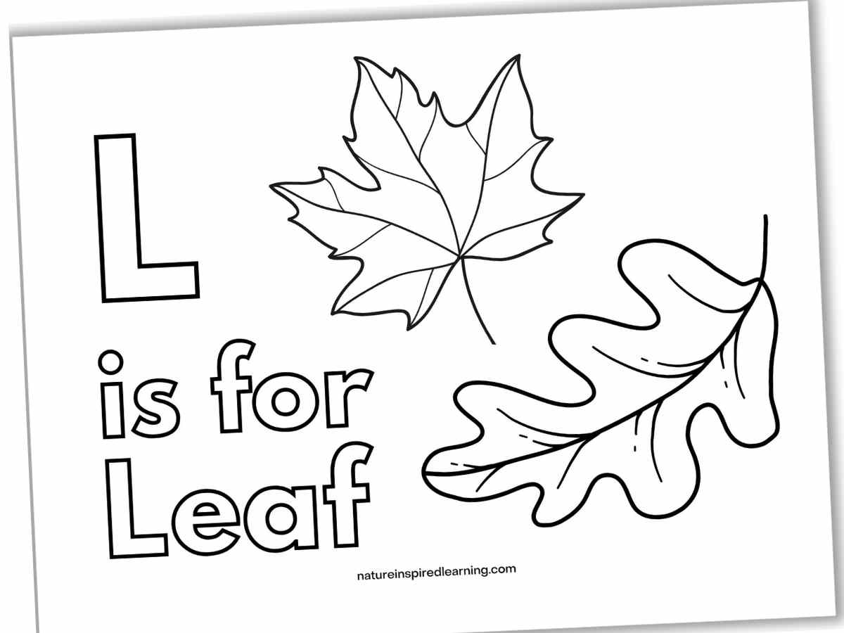 Printable Coloring Pages Leaves