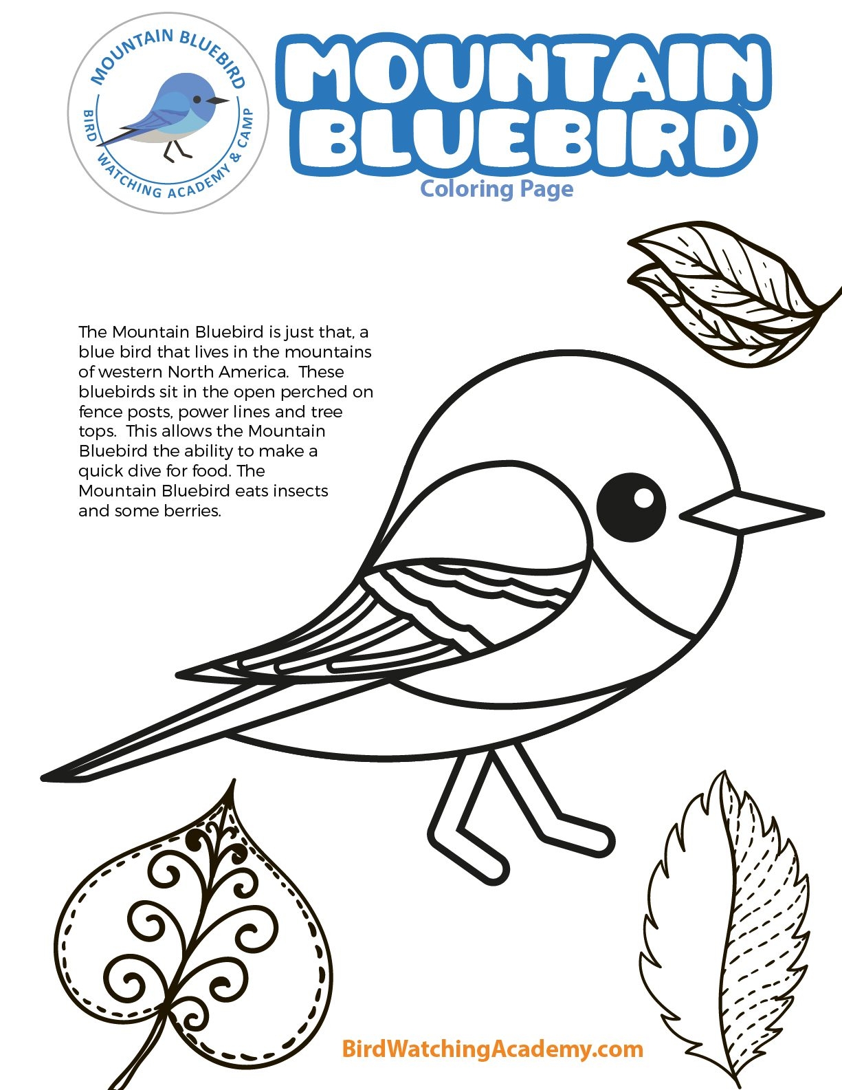Free Coloring Pages Birds