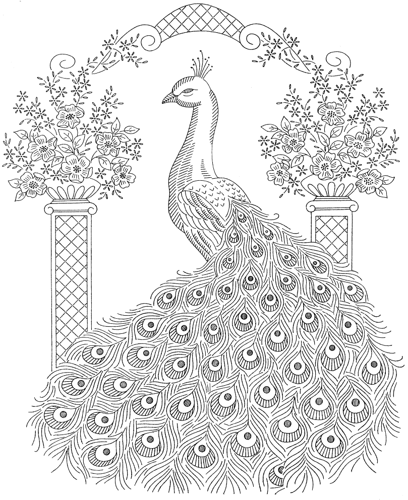 Peacock Coloring Pages Printable Coloring Pages FREE