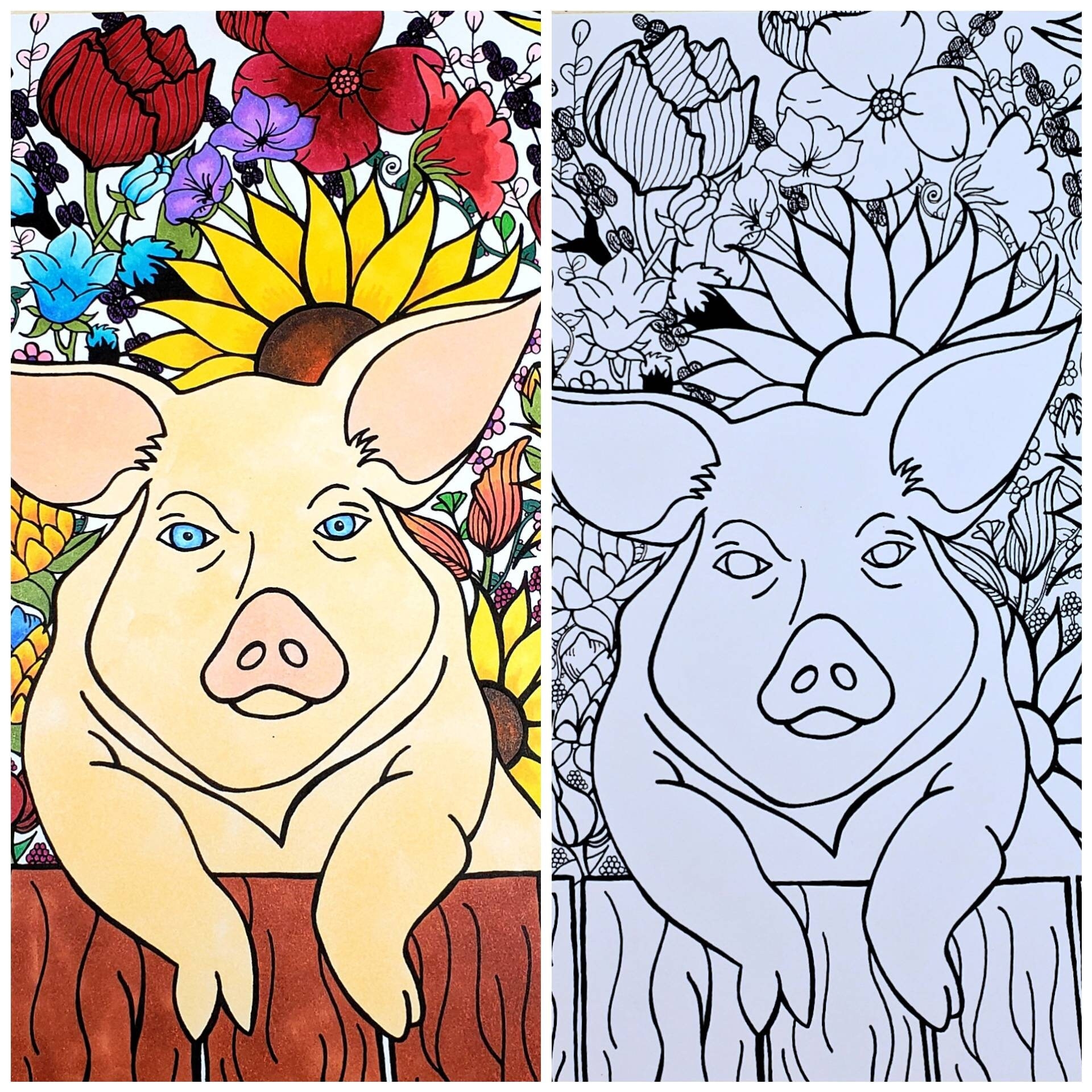 Printable Coloring Pages Pigs