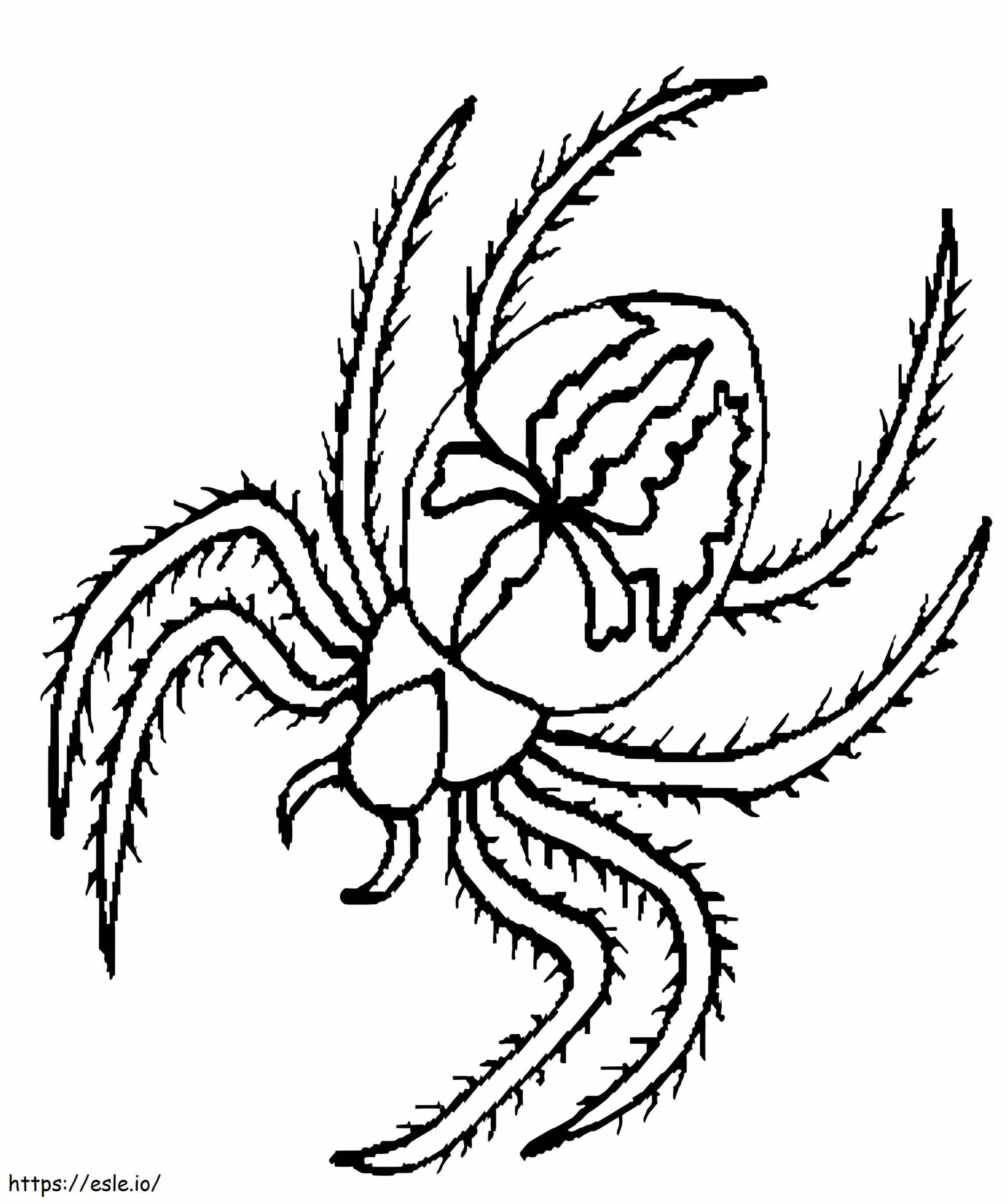 Pretty Spider Coloring Page