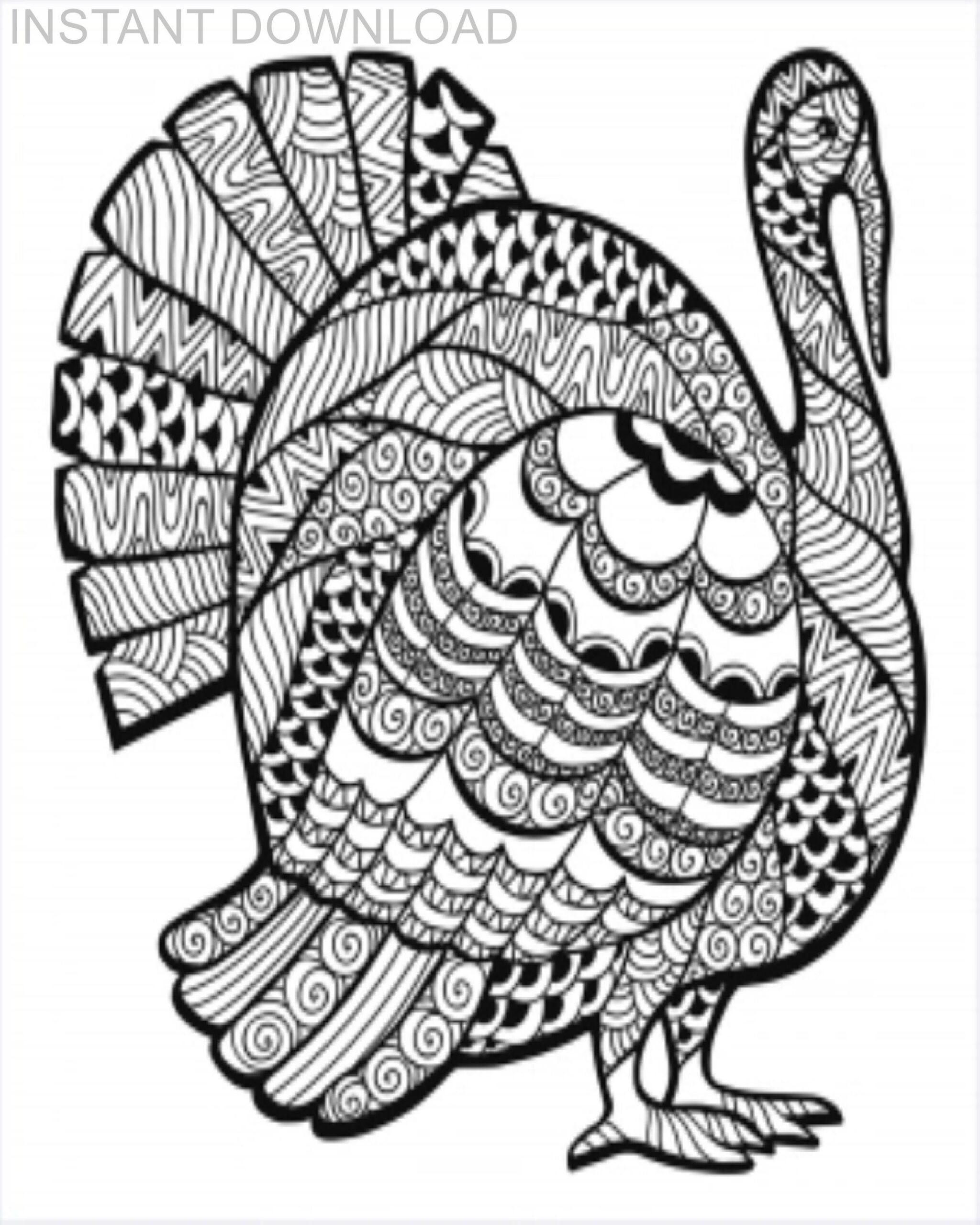 Printable 8 X 10 Thanksgiving Turkey Coloring Page instant Download digital File plus Bonus Etsy