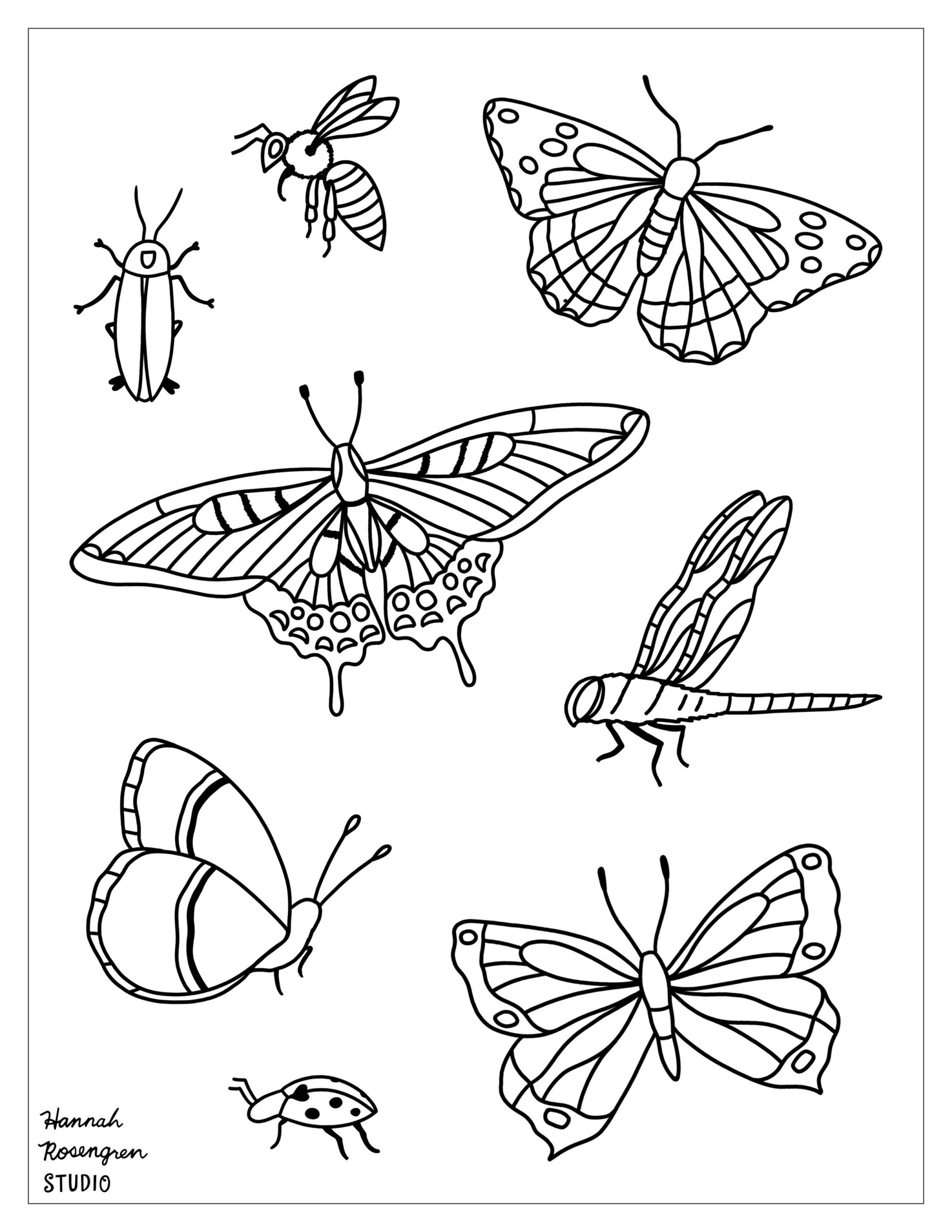 Free Coloring Pages Of Insects