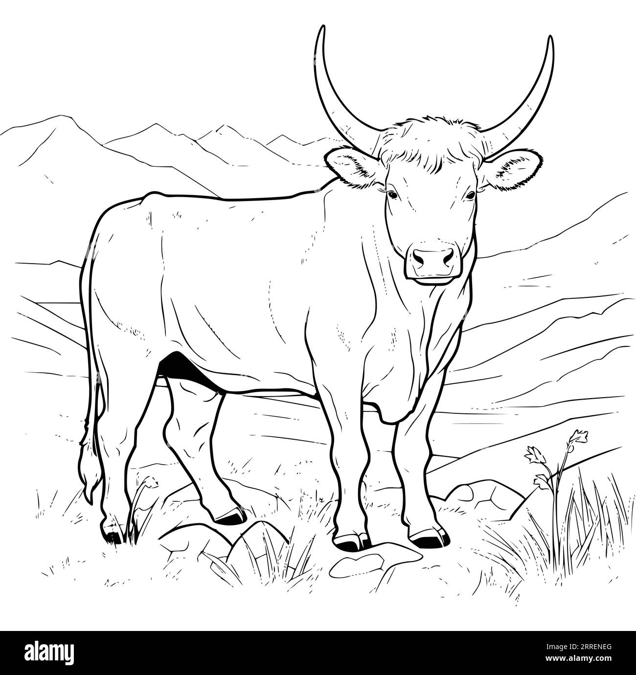 Printable Cow Coloring Pages For Adults Hi res Stock Photography And Images Alamy
