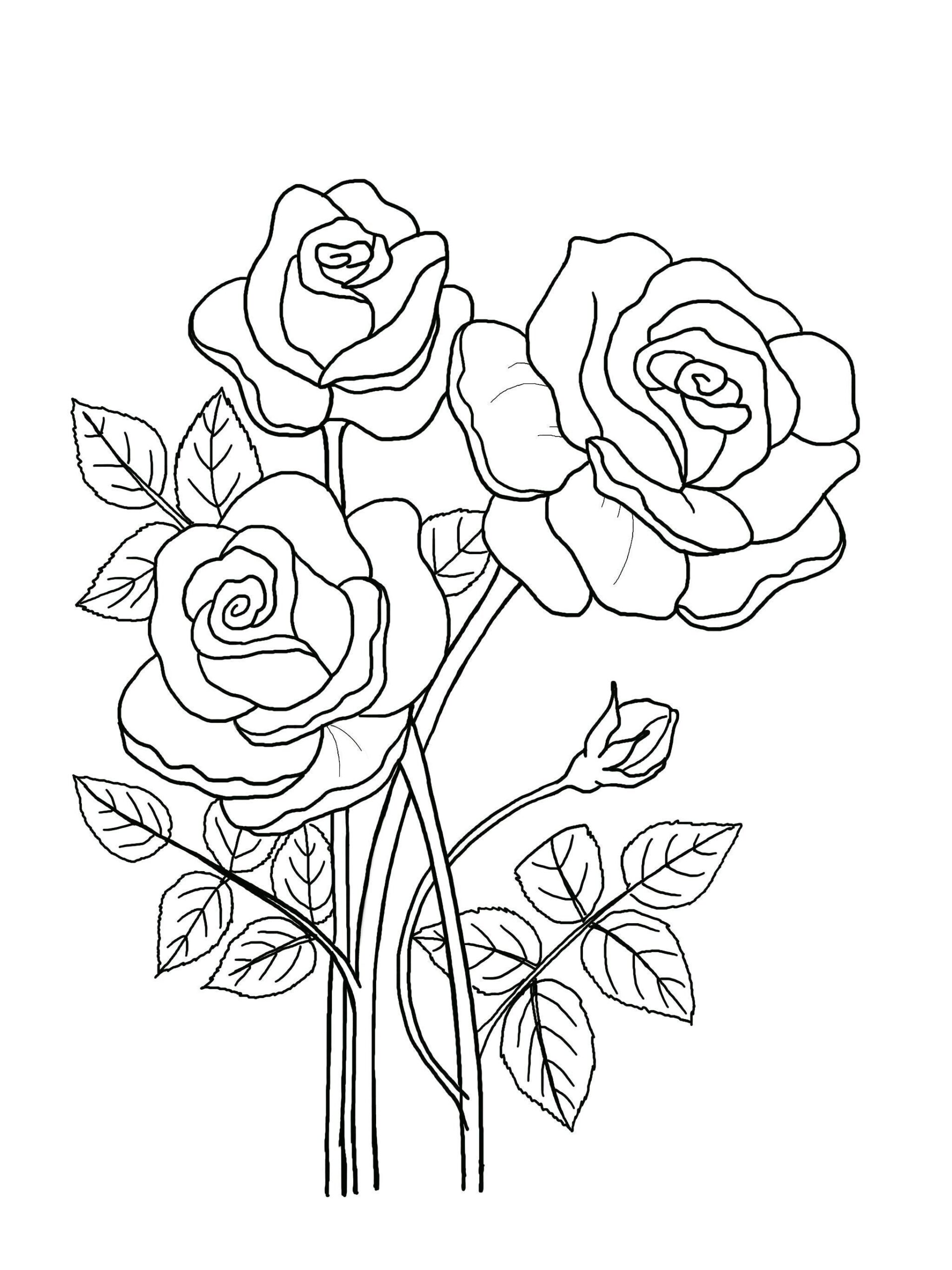 Printable Floral Coloring Sheets Coloring Pages Adult Coloring Pages Kids Coloring Pages Coloring Flowers