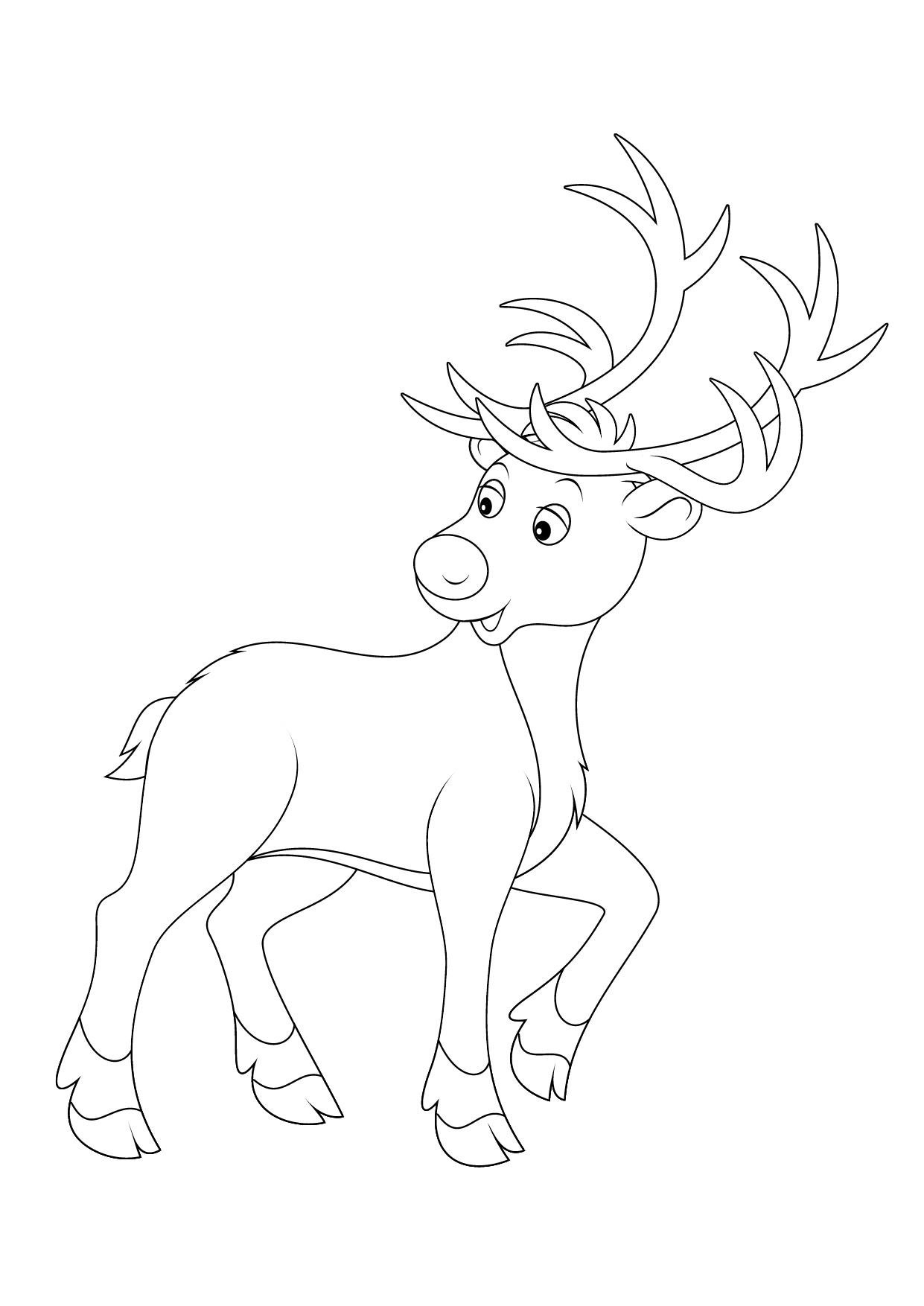 Printable Reindeer Coloring Pages For Kids Add Some Color To That Reindeer 