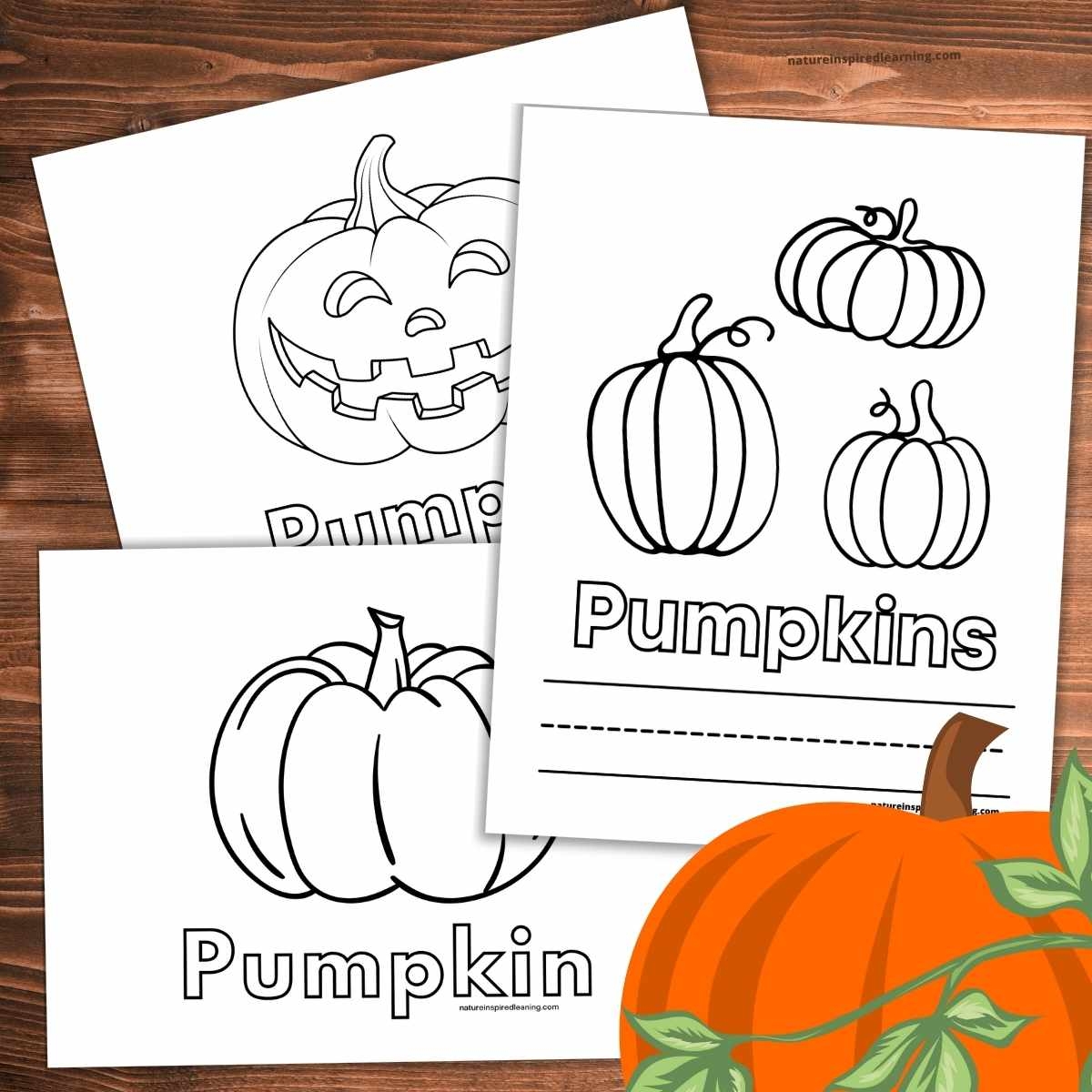Pumpkin Coloring Pages Nature Inspired Learning