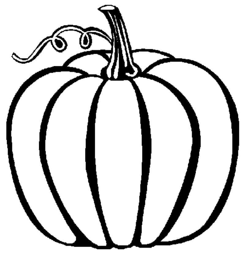 Pumpkin Free Coloring Page Download Print Or Color Online For Free