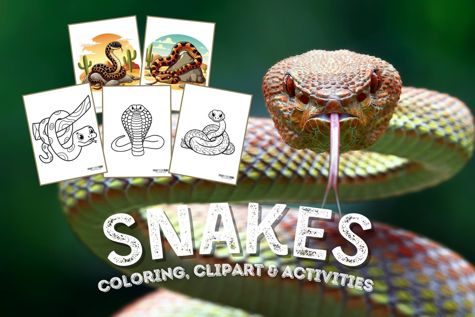 Snake Coloring Pages Printable
