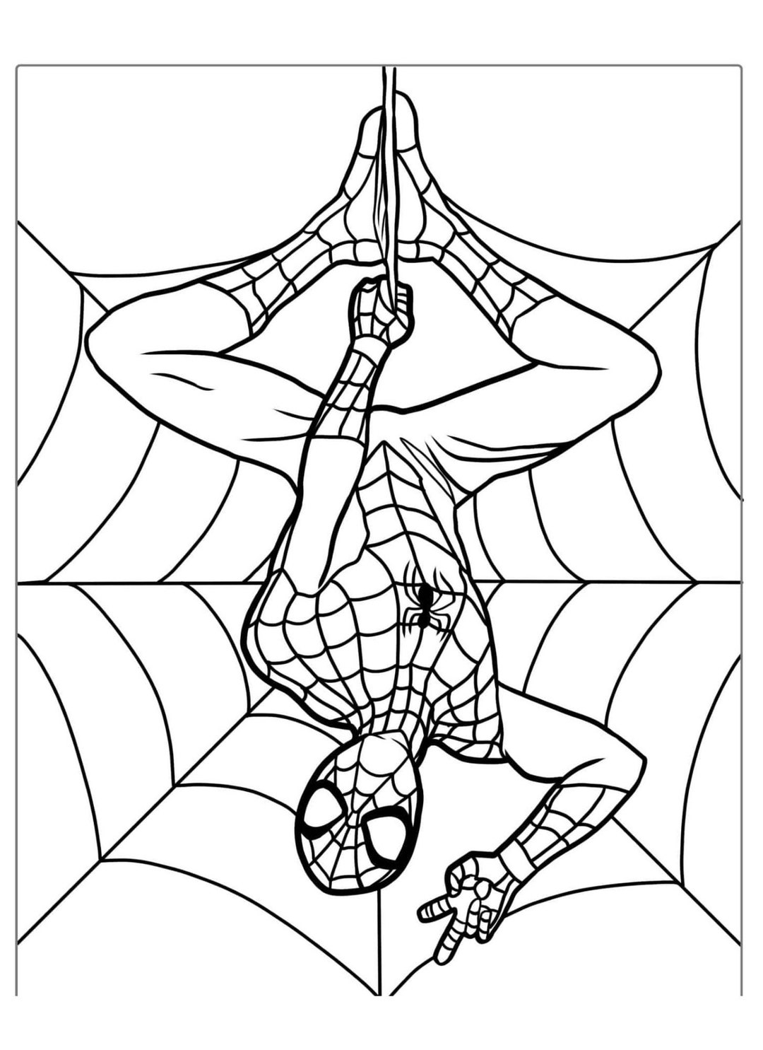 Spiderman Superhero Swing Coloring Page Printable City Hero 