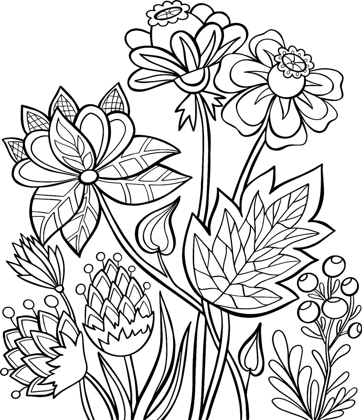 Free Flower Coloring Pages