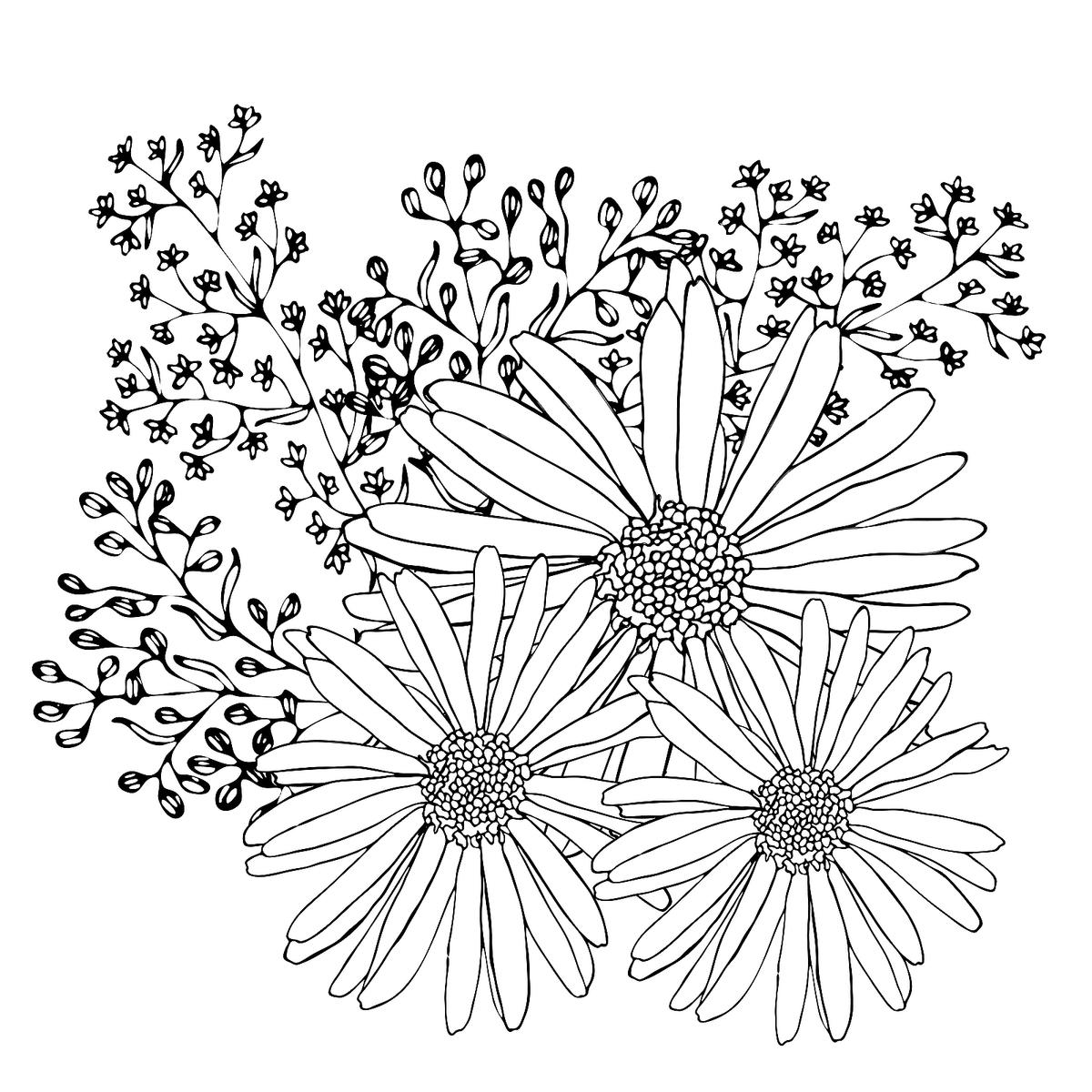 Coloring Pages Flowers Free Printable