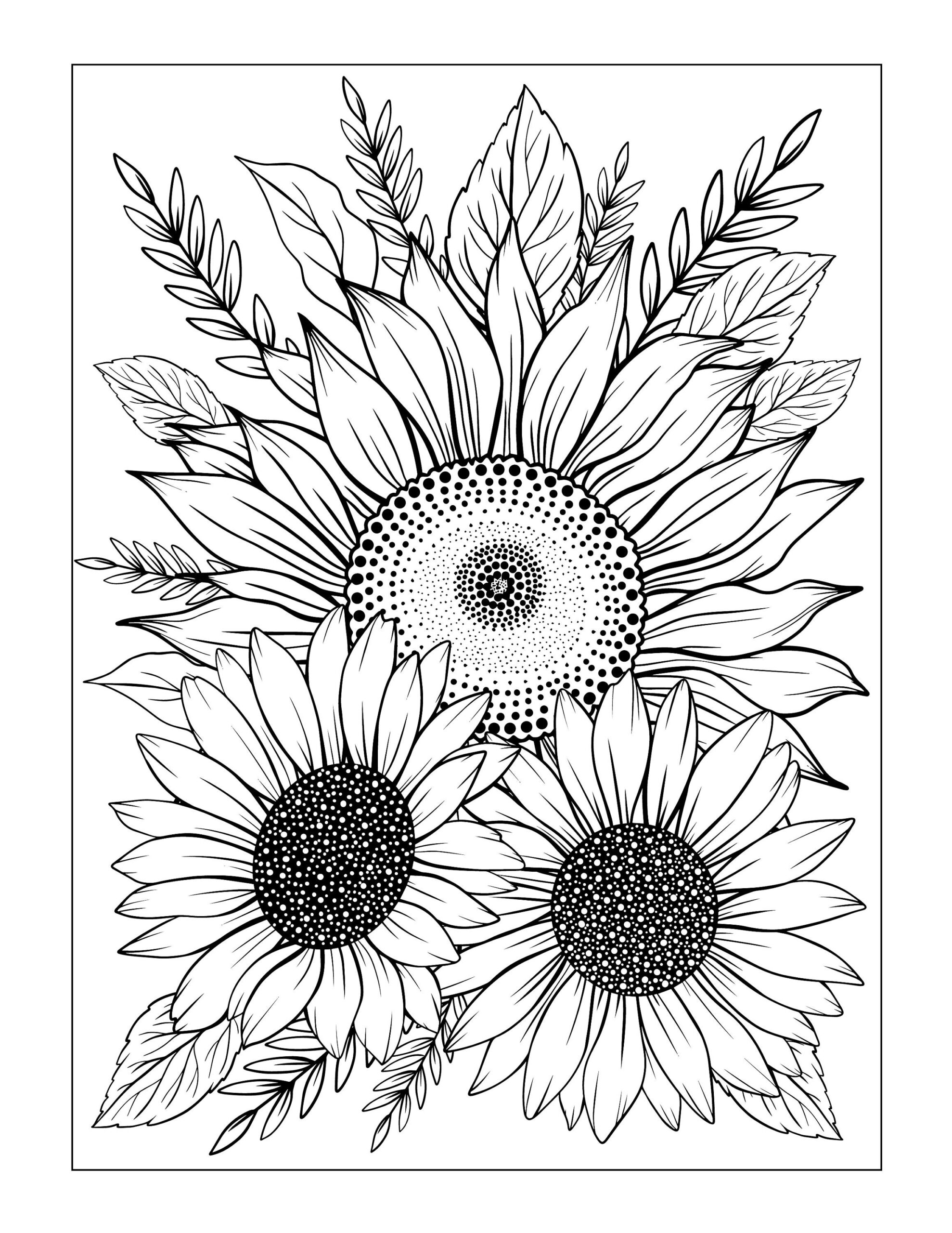 Sunflower Sunflower Colouring Sheet Sunflower Coloring Download 